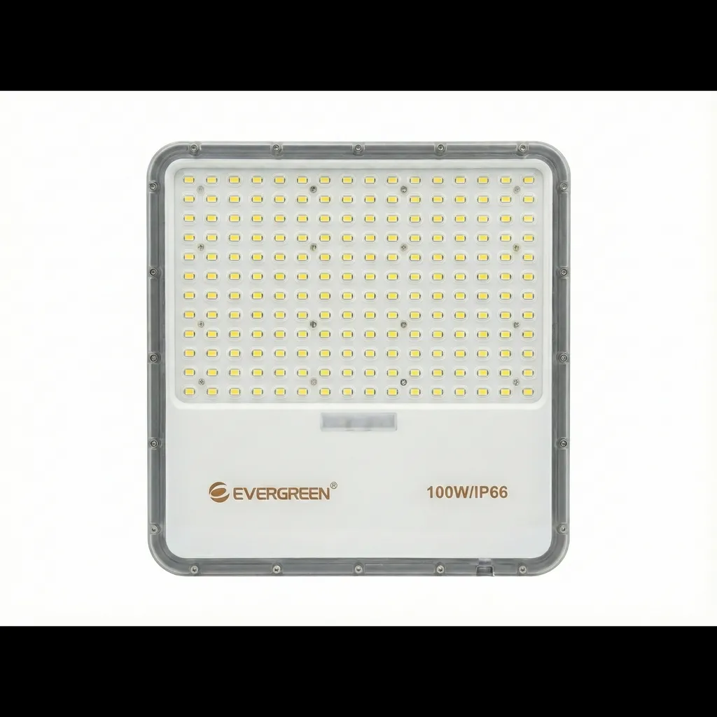 Reflector Solar – 100W / 800 Lm / 6500K